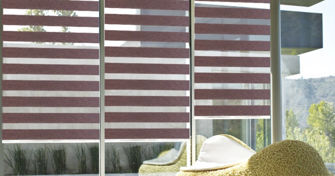 Zebra Window Blinds for Modern Homes